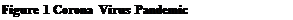 Text Box: Figure 1 Corona Virus Pandemic